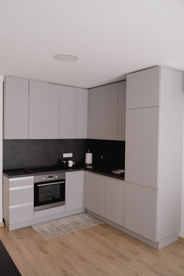 Cosy 1 Bedroom Apartment In The Heart Of Old Town With Parking Kaunas Exterior photo